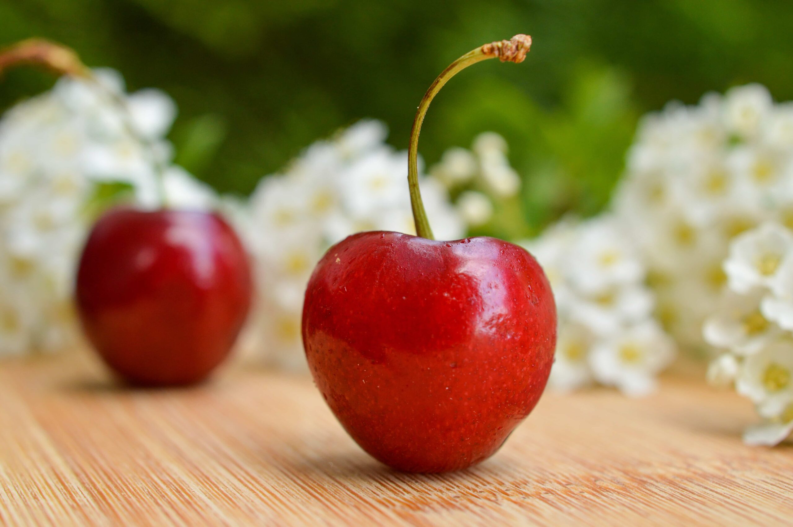 Exportar cerezas a China desde España: cereza fresca con pedicelo sobre tabla, fondo floral desenfocado.